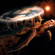 Illustration for article titled 10 More Discworld Quotes To Get You Through The Next Four Years